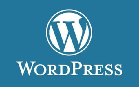 WP-China-Yes一款本地化服务的插件