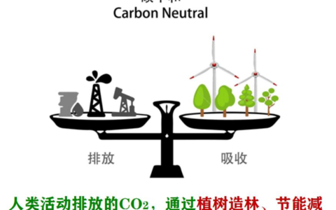碳中和，藏着一场资本大局